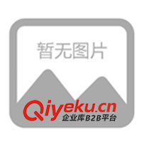 UPS電源(以色列伽瑪創力100KVA）